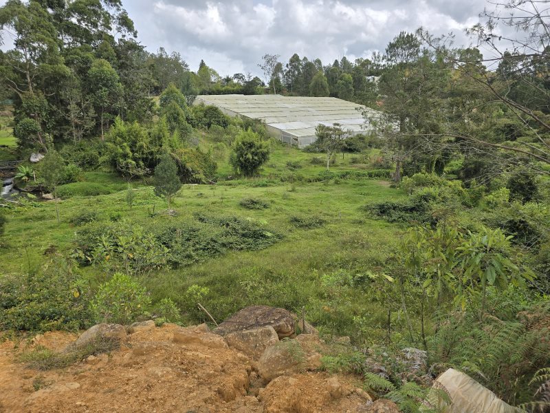 Terreno en Venta en Vereda Yolombal