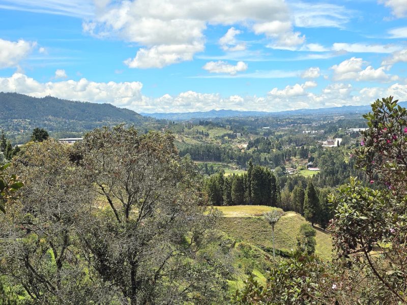 Terreno en Venta en La Hondita
