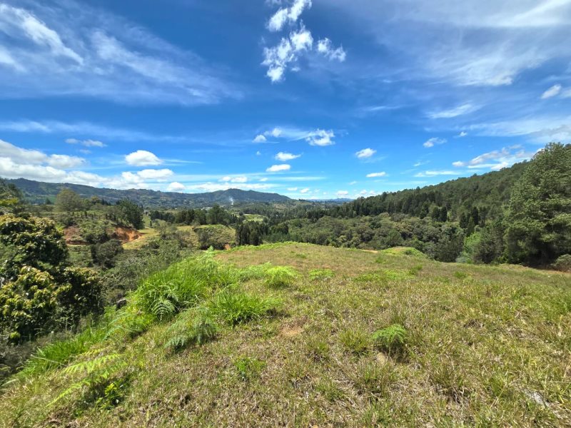 Terreno en Venta en La Hondita
